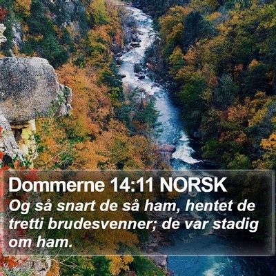 Dommerne 14:11 NORSK Bible Verse Image