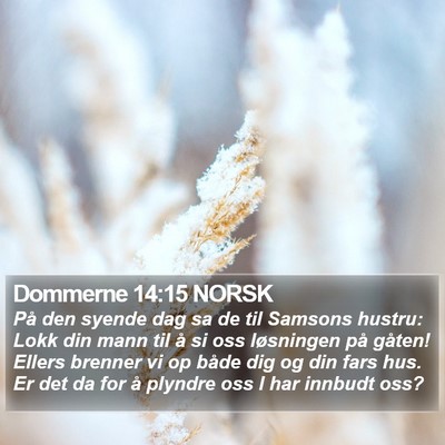 Dommerne 14:15 NORSK Bible Verse Image