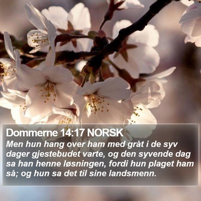 Dommerne 14:17 NORSK Bible Verse Image