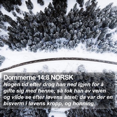 Dommerne 14:8 NORSK Bible Verse Image