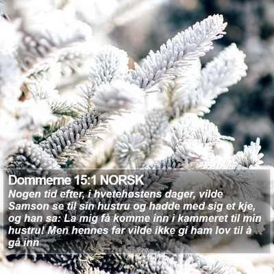 Dommerne 15:1 NORSK Bible Verse Image