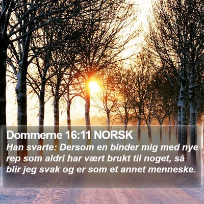 Dommerne 16:11 NORSK Bible Verse Image