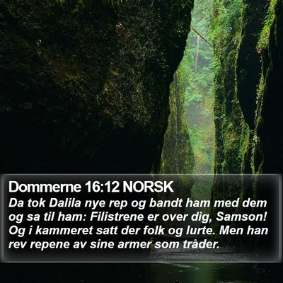 Dommerne 16:12 NORSK Bible Verse Image
