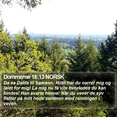 Dommerne 16:13 NORSK Bible Verse Image