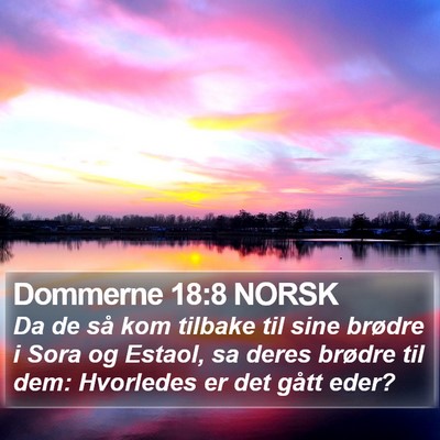Dommerne 18:8 NORSK Bible Verse Image