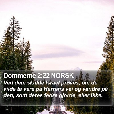 Dommerne 2:22 NORSK Bible Verse Image