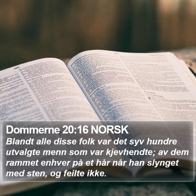 Dommerne 20:16 NORSK Bible Verse Image