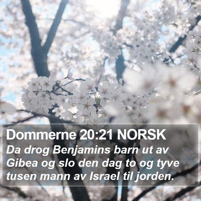 Dommerne 20:21 NORSK Bible Verse Image