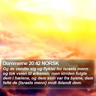 Dommerne 20:42 NORSK Bible Verse Image
