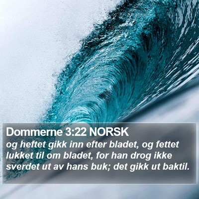 Dommerne 3:22 NORSK Bible Verse Image