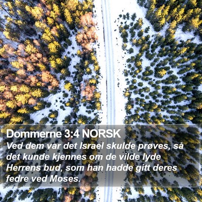 Dommerne 3:4 NORSK Bible Verse Image