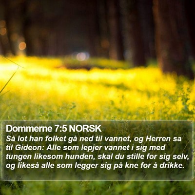 Dommerne 7:5 NORSK Bible Verse Image