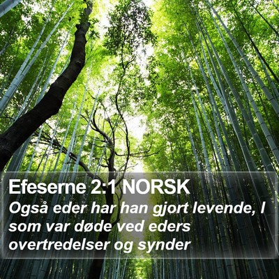 Efeserne 2:1 NORSK Bible Verse Image