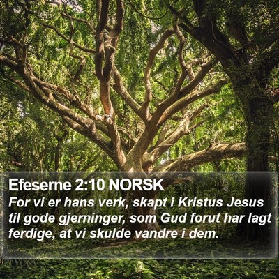 Efeserne 2:10 NORSK Bible Verse Image