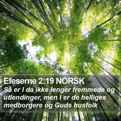 Efeserne 2:19 NORSK Bible Verse Image