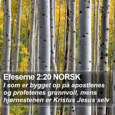 Efeserne 2:20 NORSK Bible Verse Image