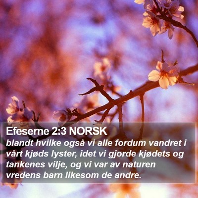 Efeserne 2:3 NORSK Bible Verse Image