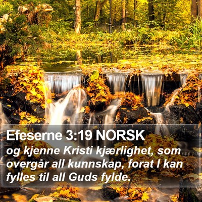 Efeserne 3:19 NORSK Bible Verse Image
