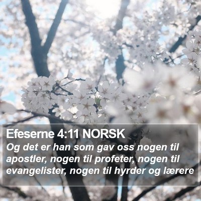 Efeserne 4:11 NORSK Bible Verse Image
