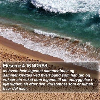 Efeserne 4:16 NORSK Bible Verse Image