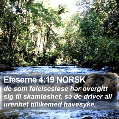 Efeserne 4:19 NORSK Bible Verse Image