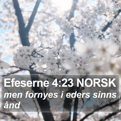Efeserne 4:23 NORSK Bible Verse Image