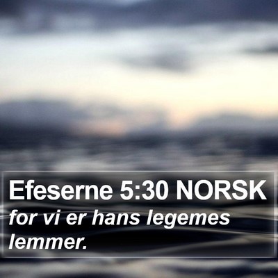 Efeserne 5:30 NORSK Bible Verse Image