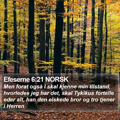 Efeserne 6:21 NORSK Bible Verse Image
