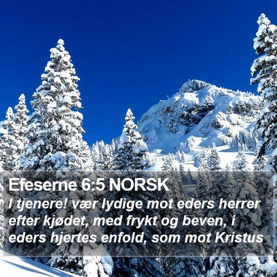Efeserne 6:5 NORSK Bible Verse Image