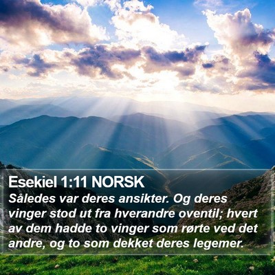 Esekiel 1:11 NORSK Bible Verse Image
