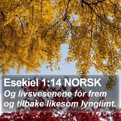 Esekiel 1:14 NORSK Bible Verse Image