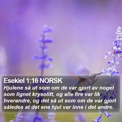 Esekiel 1:16 NORSK Bible Verse Image