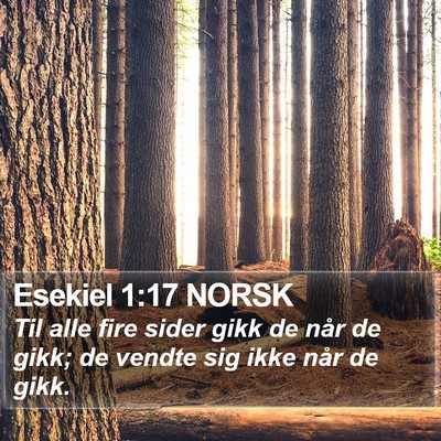 Esekiel 1:17 NORSK Bible Verse Image
