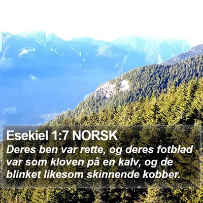 Esekiel 1:7 NORSK Bible Verse Image