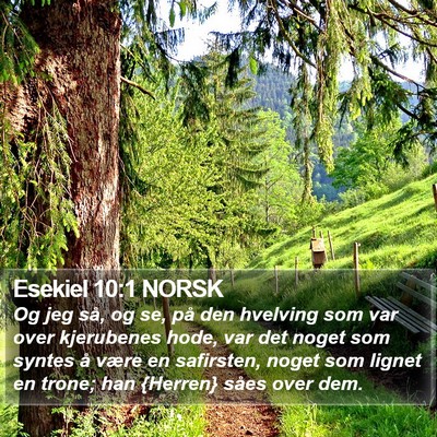 Esekiel 10:1 NORSK Bible Verse Image