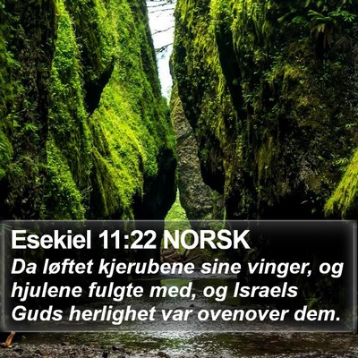 Esekiel 11:22 NORSK Bible Verse Image