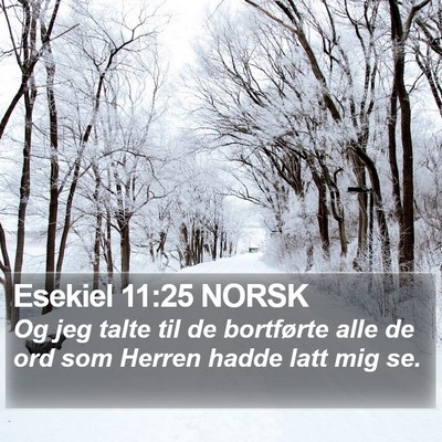 Esekiel 11:25 NORSK Bible Verse Image