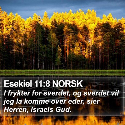 Esekiel 11:8 NORSK Bible Verse Image