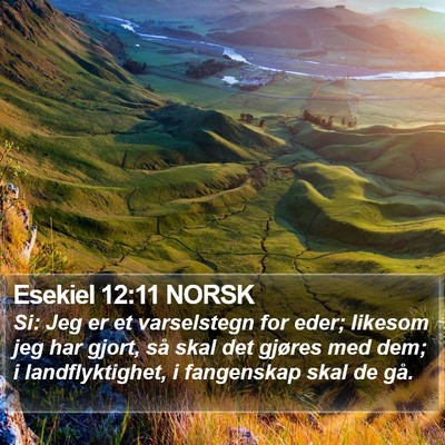 Esekiel 12:11 NORSK Bible Verse Image