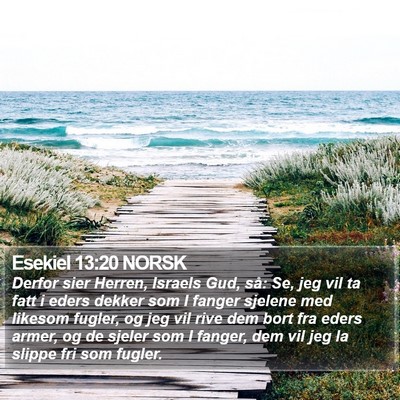 Esekiel 13:20 NORSK Bible Verse Image