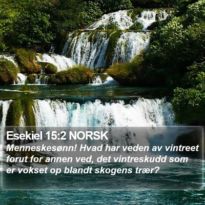 Esekiel 15:2 NORSK Bible Verse Image