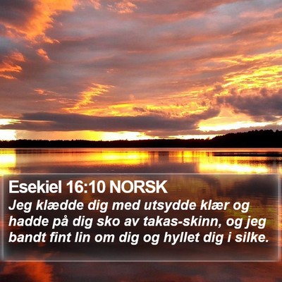 Esekiel 16:10 NORSK Bible Verse Image