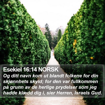 Esekiel 16:14 NORSK Bible Verse Image