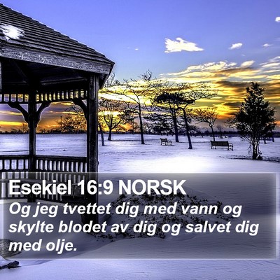 Esekiel 16:9 NORSK Bible Verse Image