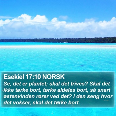 Esekiel 17:10 NORSK Bible Verse Image