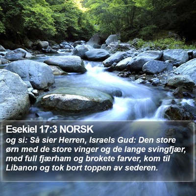 Esekiel 17:3 NORSK Bible Verse Image