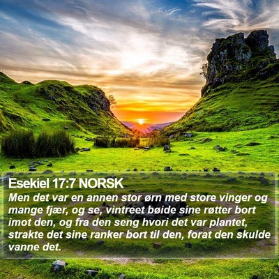 Esekiel 17:7 NORSK Bible Verse Image