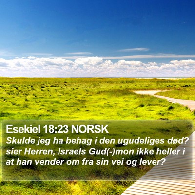 Esekiel 18:23 NORSK Bible Verse Image