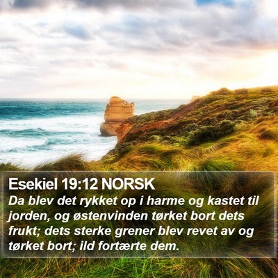Esekiel 19:12 NORSK Bible Verse Image