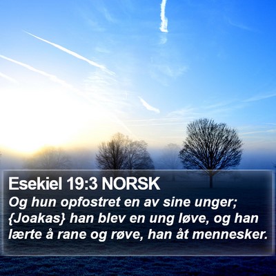 Esekiel 19:3 NORSK Bible Verse Image